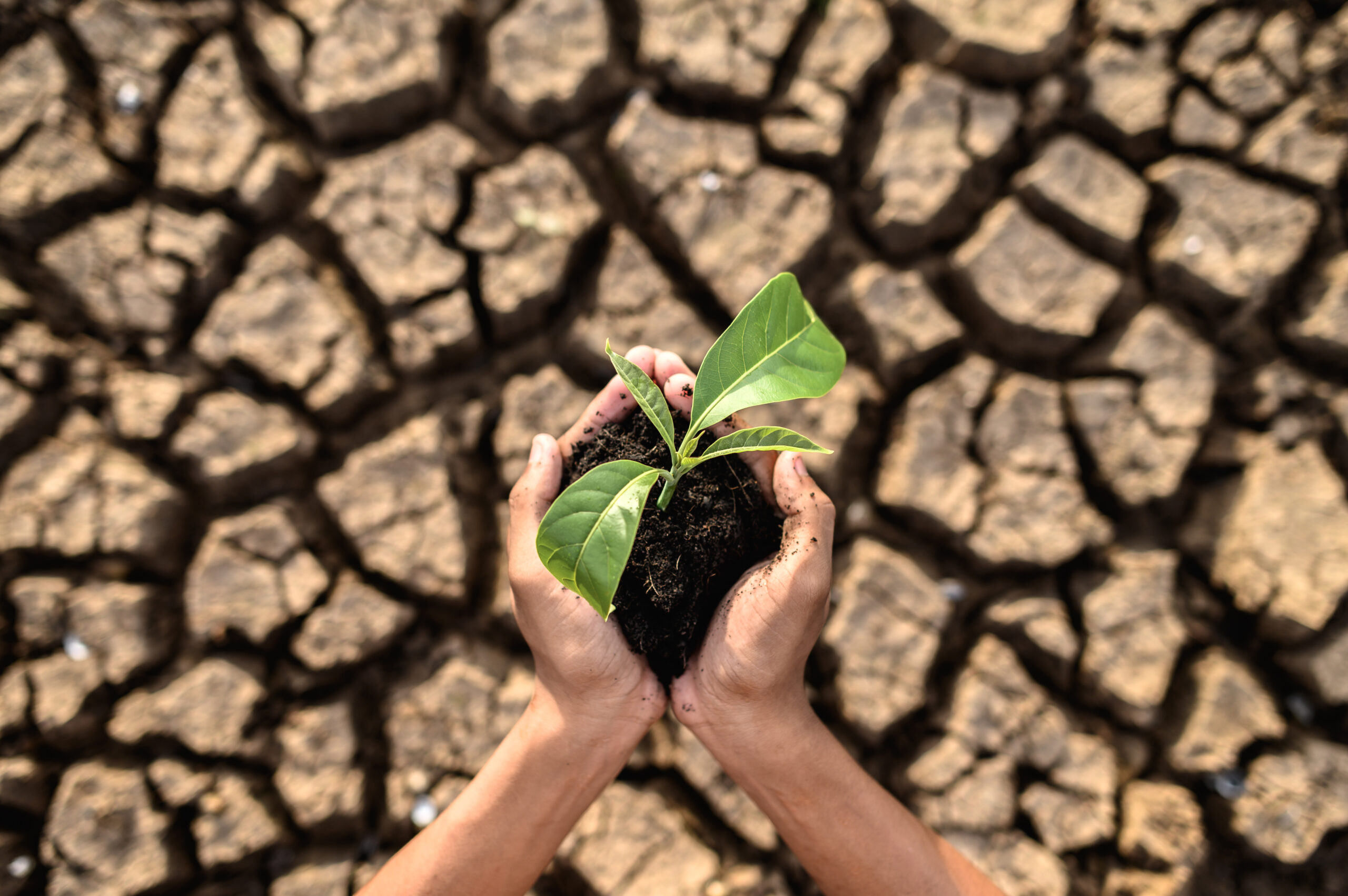 Projet de loi Climat : contraindre plutôt qu’accompagner est une erreur