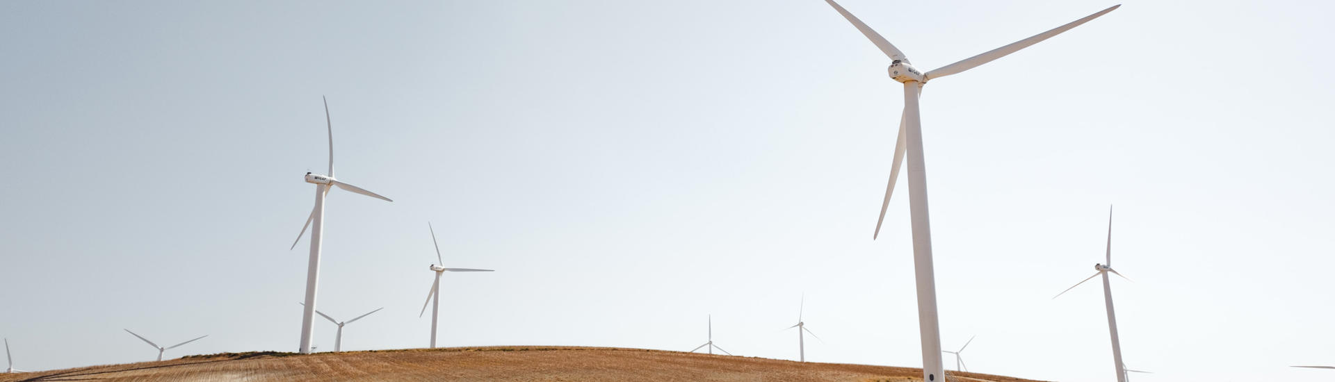 Projet de loi Climat et Résilience