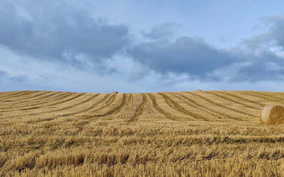 La CPME appelle à bien peser les conséquences économiques des décisions prises contre la sécheresse