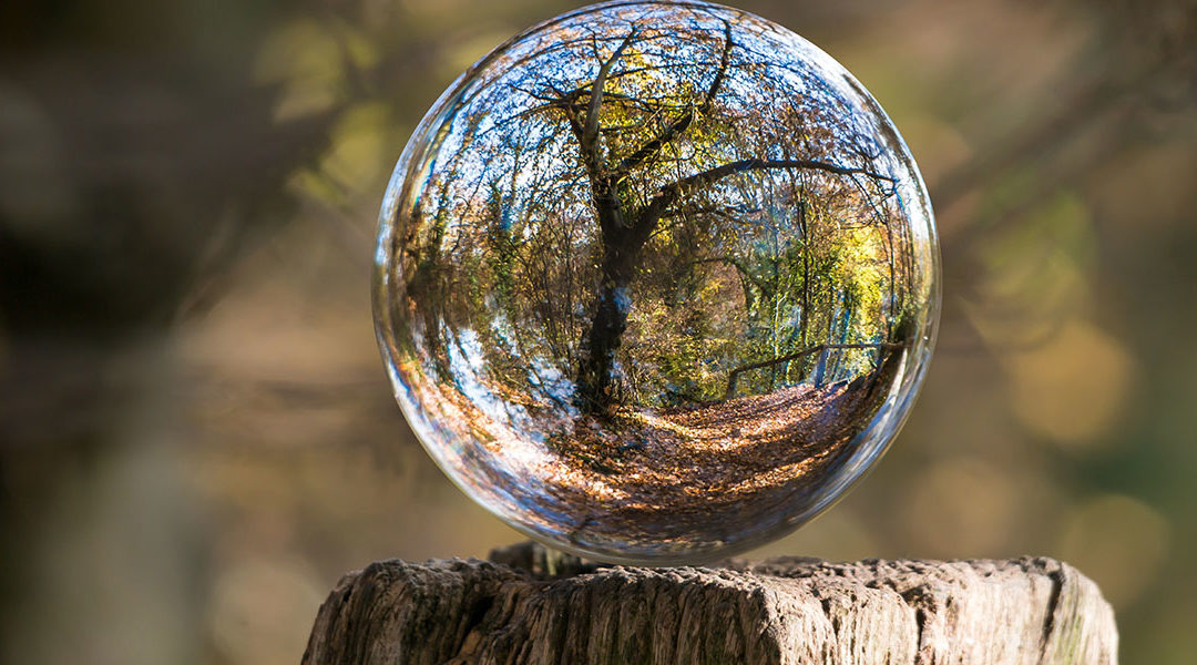 Transition écologique : le gouvernement publie 2 guides pour accompagner les TPE-PME