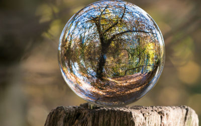 Transition écologique : le gouvernement publie 2 guides pour accompagner les TPE-PME