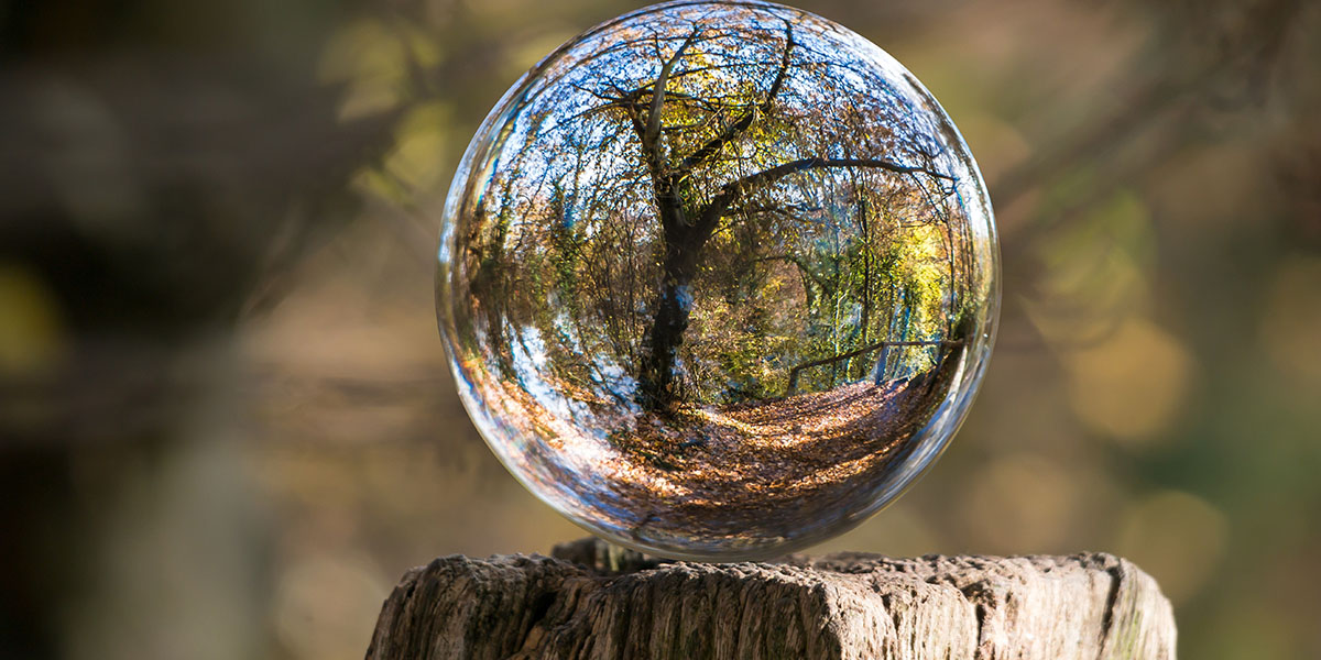 guide transition écologique tpe pme